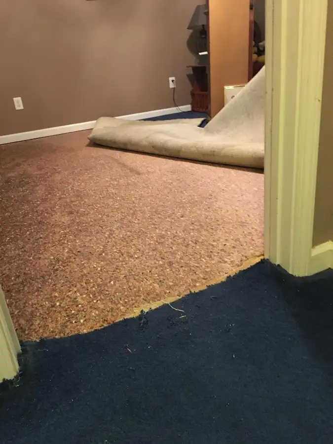 Carpet pad removal revealing water damage during Water Mitigation Services in Bear