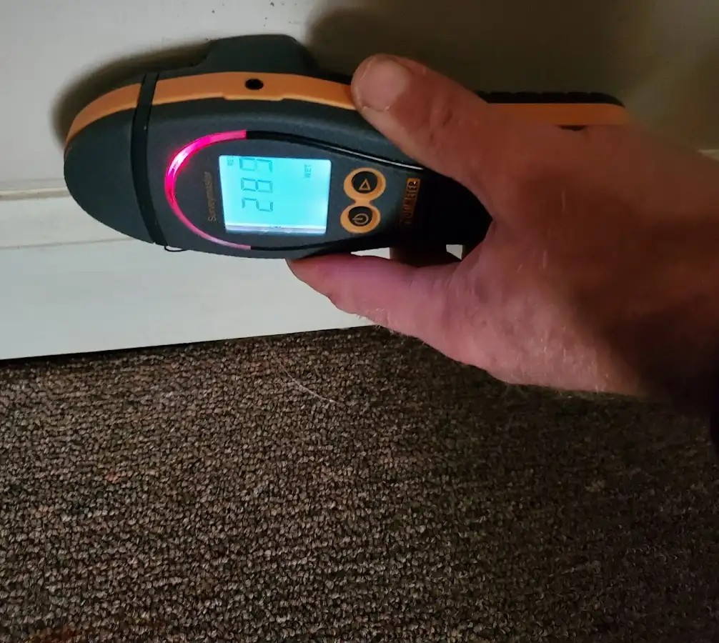 Moisture detection at baseboard during Sewage Cleanup & Sanitation in Bear